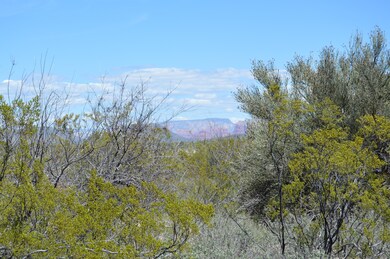 DSC_0080