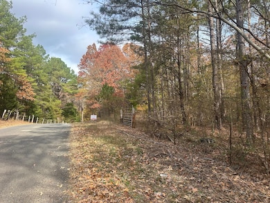 Pine Lake Dr, Batesville, MS 38606 - photo 4