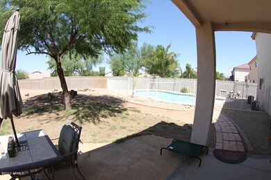 backyard-from-porch-area