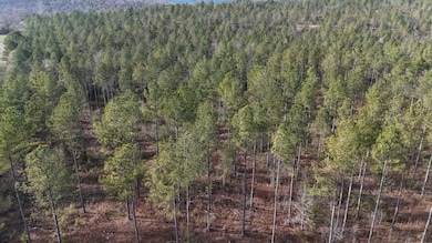 014 County Road 175, Piedmont, AL 36272 - photo 3