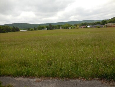 0 W Smith St unit 1174061, West Fork, AR 72774 - photo 3