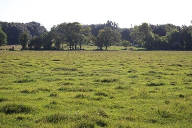 6514 Newton Hwy, Colquitt, GA 39837 - photo 6