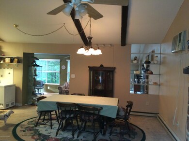 387 Birch Dr, Blakeslee, PA 18610 - photo 7