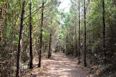 ... Liberty White Ln, McComb, MS 39648 - photo 6