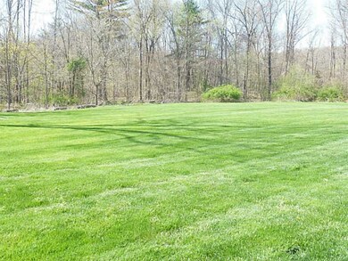 Yard/Garden.