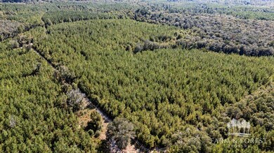 unlisted-address, Caryville, FL 32427 - photo 3