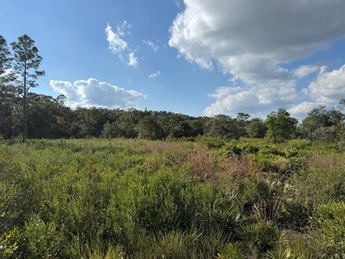 39603 NW 19th Ave, Okeechobee, FL 34972 - photo 5