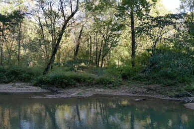 840 Buffalo Bottom Rd, Linden, TN 37096 - photo 6