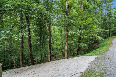 Lot 72 Huron Cir, Ellijay, GA 30540 - photo 5