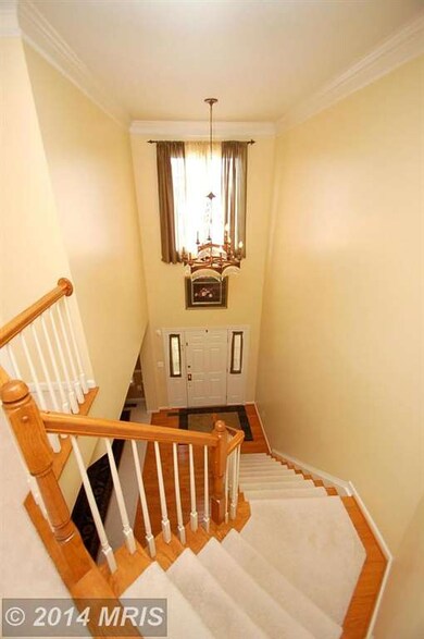 25489 Carrington Dr, Chantilly, VA 20152 - photo 5