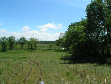 2015 Jefferson Rd, Ionia, MI 48846 - photo 7