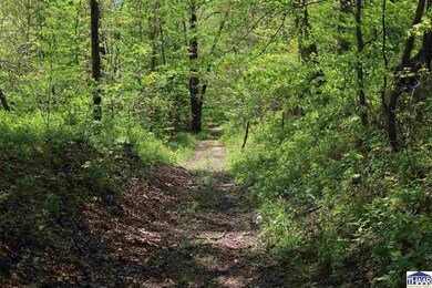 2467 W Hibbs Rd, Kingman, IN 47952 - photo 6