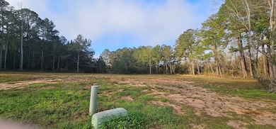 Lot 42 & 43 Anita Ct, Dothan, AL 36303 - photo 2
