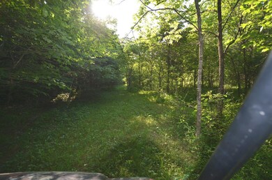 2167 Brewers Mill Rd, Harrodsburg, KY 40330 - photo 5