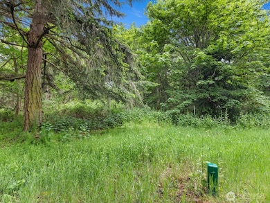 4061 S Eagle Ridge Dr, Camano, WA 98282 - photo 5