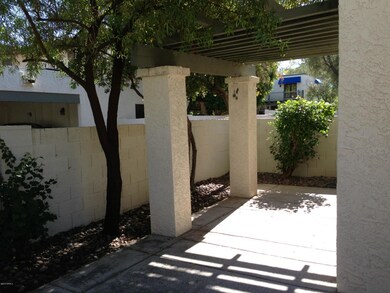 photo 1 (2)