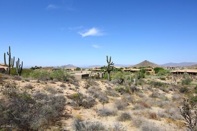 Rear Lot View