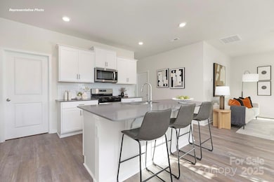 12133 Lady Bell Dr, Charlotte, NC 28278 - photo 6