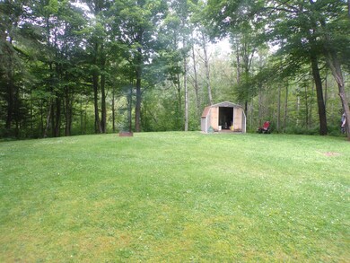 4-very nice back yard