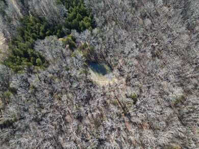 DJI_001534a8