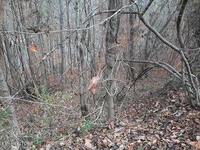 Old Hearth Dr