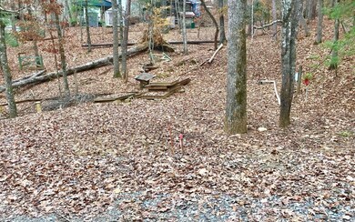 Additional View