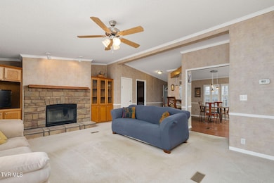 537 Roberts Ridge, Rutledge, TN 37861 - photo 7