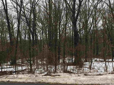 715 Broadway, Ulster Park, NY 12487 - photo 2