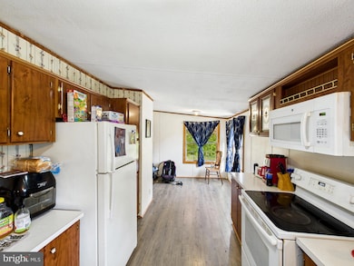 35353 Dannys Dr, Laurel, DE 19956 - photo 6