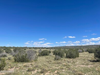 2272 W Critter Pass Photo 13