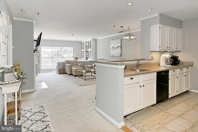 Quaker Hill Community unit 304, Alexandria, VA 22314 - photo 5