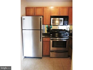 Bridge Five Condominiums unit 507, Philadelphia, PA 19127 - photo 5