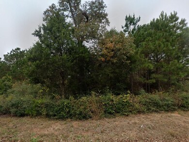 Mcgregor Ct, Hempstead, TX 77445 - photo 6