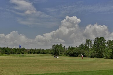 2 Drifted Sand Ct Freeport FL-011-007-Lo