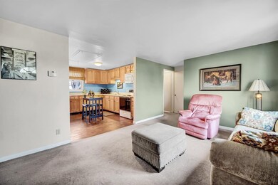 10805 Porter St, Crown Point, IN 46307 - photo 3