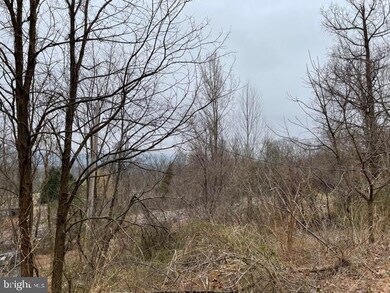 6588 Paw Paw Rd, Paw Paw, WV 25434 - photo 7