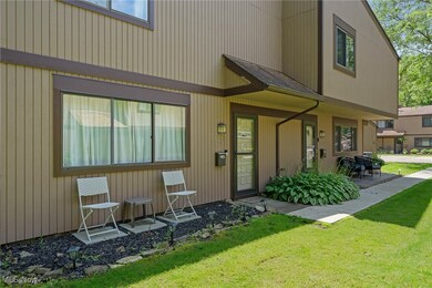 26749 Lake of the Falls Blvd, Olmsted Falls, OH 44138 - photo 5