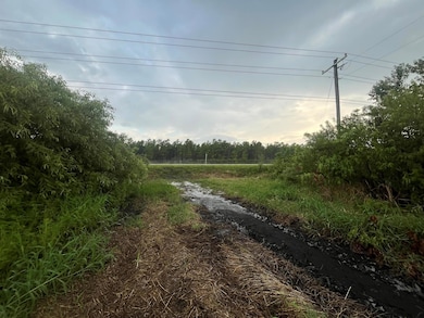 0 E State Road 60 unit R11004766, Yeehaw, FL 34972 - photo 5