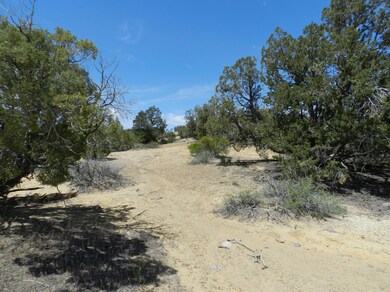 6531 Mulligans Rd, Farmington, NM 87402 - photo 4