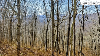 TBD ( lot 79) Elk Creek Mountain Pkwy, Todd, NC 28684 - photo 7