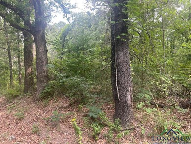 View of wooded area