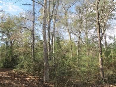 778 Hortons Hollow Rd, Lufkin, TX 75904 - photo 7