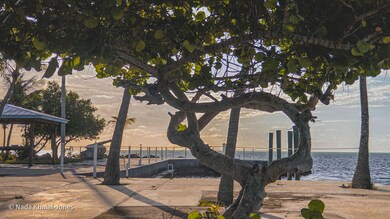 IMG_0938