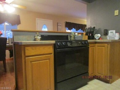 313 Thelma Dr, Sheffield Lake, OH 44054 - photo 7