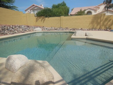 BACKYARD 2