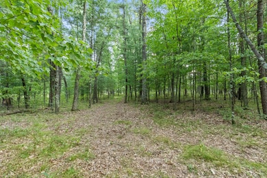 4201 E 20th St, White Cloud, MI 49349 - photo 4