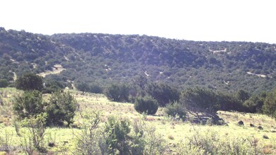 11139 Howard Mesa Loop, Williams, AZ 86046 - photo 4