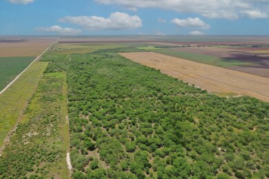 unlisted-address, Alice, TX 78332 - photo 2