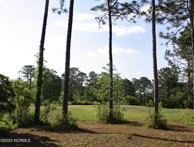 Golf View Homesite