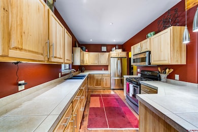 457 Animas View Dr unit 22, Durango, CO 81301 - photo 4